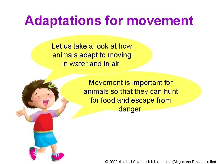 Adaptations for movement Let us take a look at how animals adapt to moving
