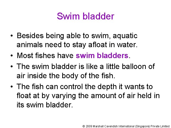 Swim bladder • Besides being able to swim, aquatic animals need to stay afloat