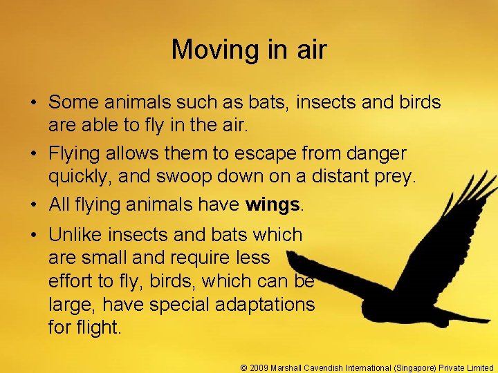 Moving in air • Some animals such as bats, insects and birds are able