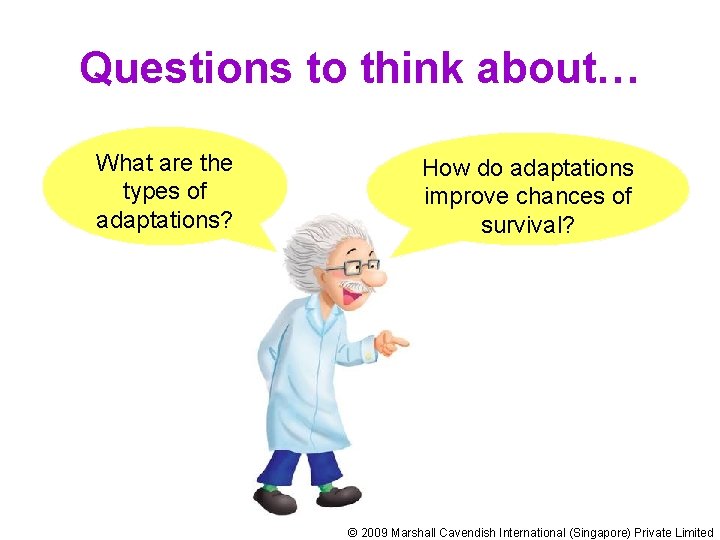 Questions to think about… What are the types of adaptations? How do adaptations improve