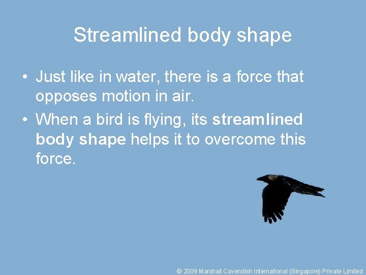 Streamlined body shape • Just like in water, there is a force that opposes