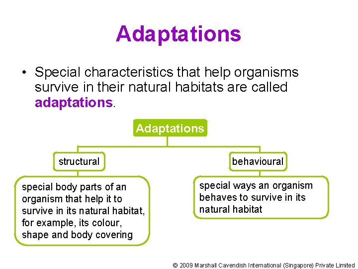 Adaptations • Special characteristics that help organisms survive in their natural habitats are called