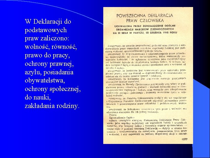 W Deklaracji do podstawowych praw zaliczono: wolność, równość, prawo do pracy, ochrony prawnej, azylu,