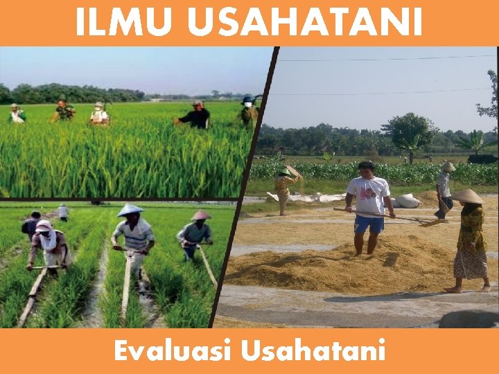 ILMU USAHATANI Evaluasi Usahatani 