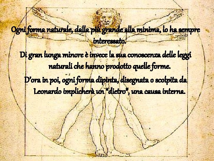 Ogni forma naturale, dalla più grande alla minima, lo ha sempre interessato. Di gran Ogni forma naturale, dalla più grande alla minima, lo ha sempre interessato. Di gran