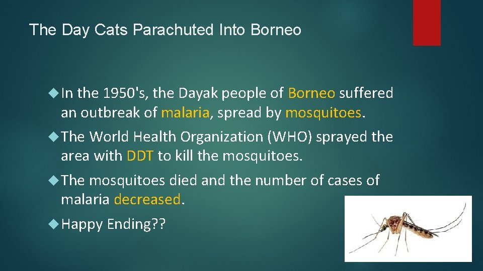 The Day Cats Parachuted Into Borneo In the 1950's, the Dayak people of Borneo