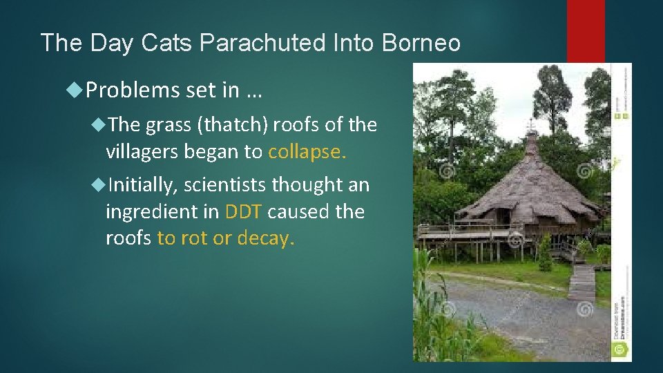 The Day Cats Parachuted Into Borneo Problems set in … The grass (thatch) roofs