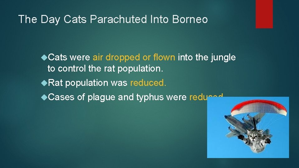 The Day Cats Parachuted Into Borneo Cats were air dropped or flown into the