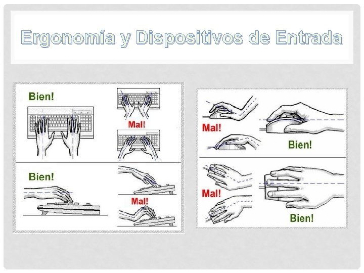 Ergonomía y Dispositivos de Entrada Ergonomía y Dispositivos de Entrada