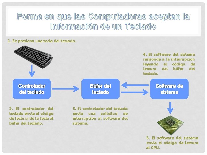 Forma en que las Computadoras aceptan la Información de un Teclado 1. Se presiona Forma en que las Computadoras aceptan la Información de un Teclado 1. Se presiona