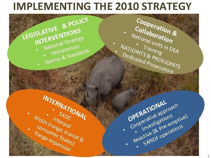 IMPLEMENTING THE 2010 STRATEGY CY I L O P & E IV T NS