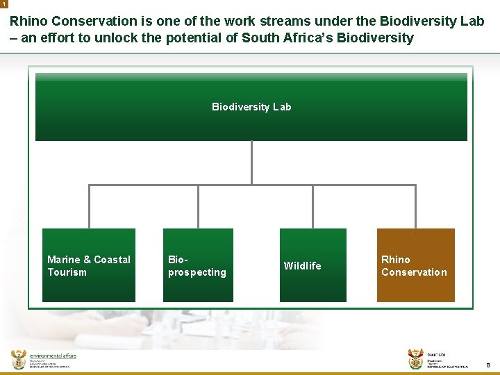 1 Rhino Conservation is one of the work streams under the Biodiversity Lab –