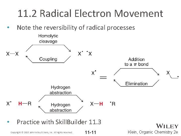 11. 2 Radical Electron Movement • Note the reversibility of radical processes • Practice