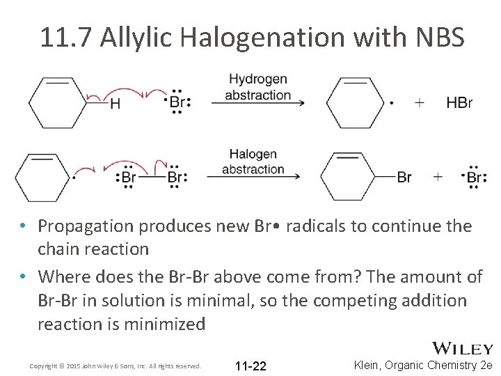 11. 7 Allylic Halogenation with NBS • Propagation produces new Br • radicals to
