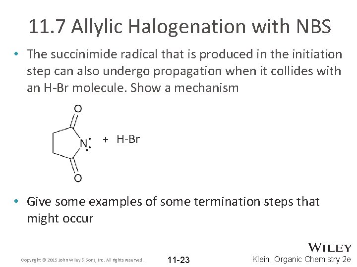 11. 7 Allylic Halogenation with NBS • The succinimide radical that is produced in