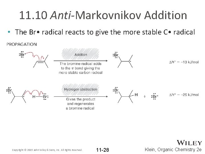 11. 10 Anti-Markovnikov Addition • The Br • radical reacts to give the more