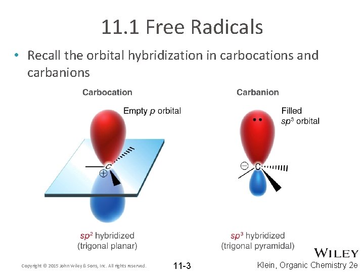 11. 1 Free Radicals • Recall the orbital hybridization in carbocations and carbanions Copyright