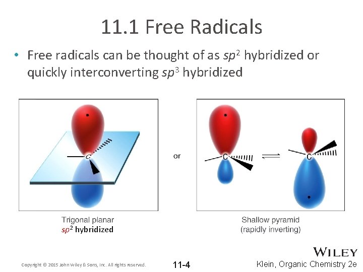 11. 1 Free Radicals • Free radicals can be thought of as sp 2