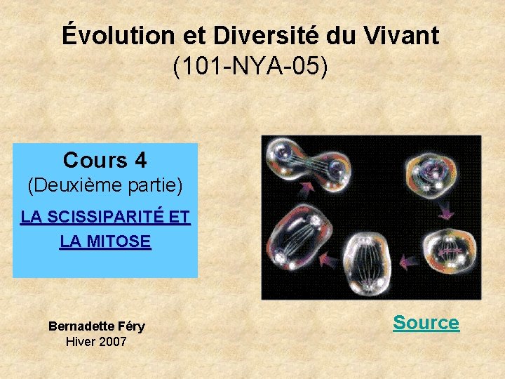 Évolution et Diversité du Vivant (101 -NYA-05) Cours 4 (Deuxième partie) LA SCISSIPARITÉ ET