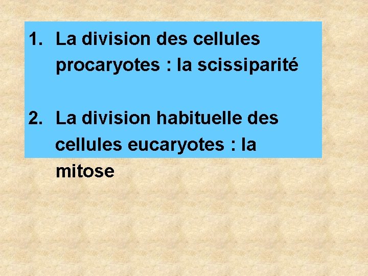 1. La division des cellules procaryotes : la scissiparité 2. La division habituelle des