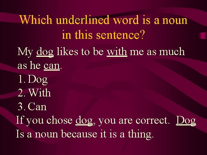 Which underlined word is a noun in this sentence? My dog likes to be