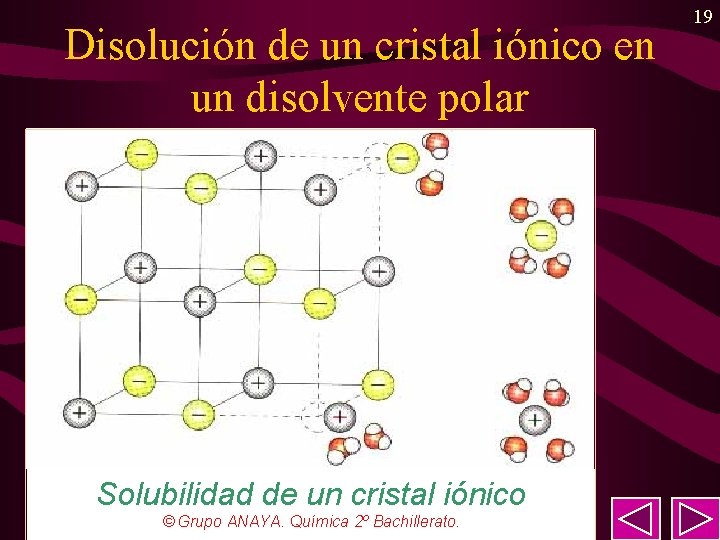 Disolución de un cristal iónico en un disolvente polar Solubilidad de un cristal iónico Disolución de un cristal iónico en un disolvente polar Solubilidad de un cristal iónico