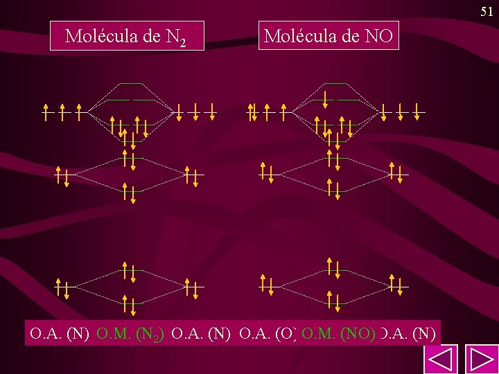 51 Molécula de N 2 Molécula de NO O. A. (N) O. M. (N 51 Molécula de N 2 Molécula de NO O. A. (N) O. M. (N
