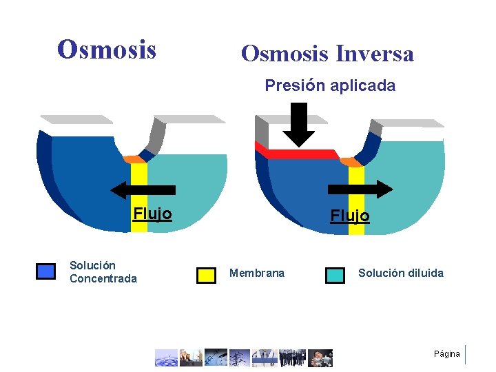 Osmosis Inversa Presión aplicada Flujo Solución Concentrada Flujo Membrana Solución diluida Página 