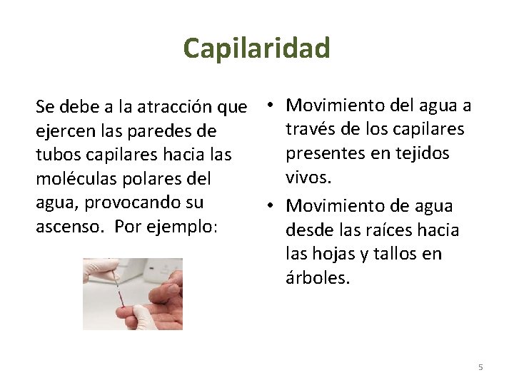 Capilaridad Se debe a la atracción que • Movimiento del agua a través de