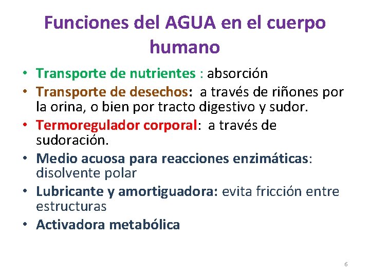 Funciones del AGUA en el cuerpo humano • Transporte de nutrientes : absorción •