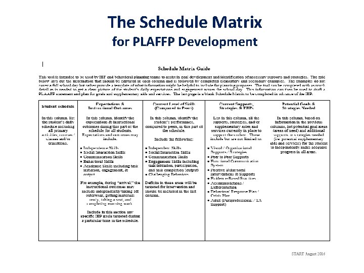 The Schedule Matrix for PLAFFP Development 
