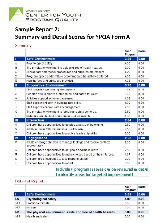 Sample Report 2: Summary and Detail Scores for YPQA Form A Individual programs scores