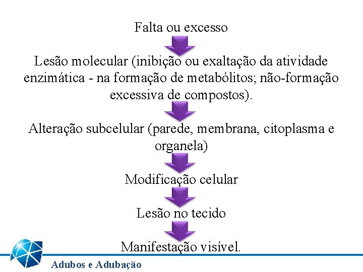 Falta ou excesso Lesão molecular (inibição ou exaltação da atividade enzimática - na formação