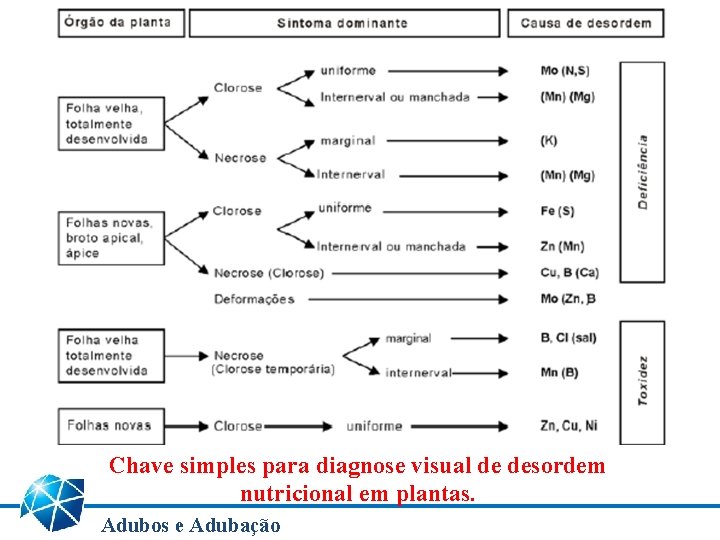 Chave simples para diagnose visual de desordem nutricional em plantas. Adubos e Adubação 