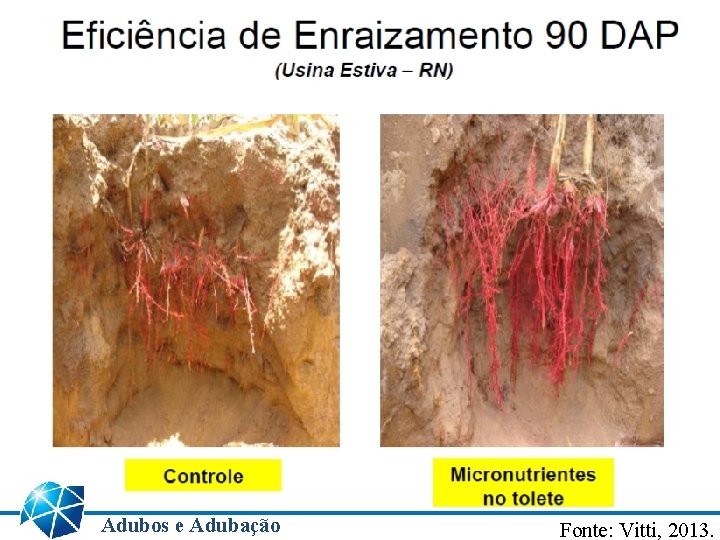 Adubos e Adubação Fonte: Vitti, 2013. 