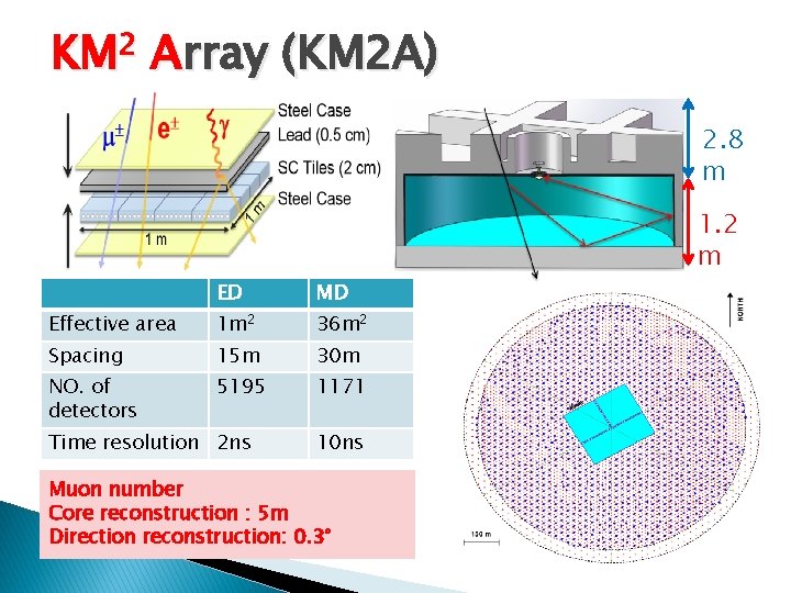 KM 2 Array (KM 2 A) 2. 8 m 1. 2 m ED MD