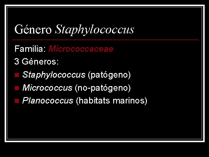 Género Staphylococcus Familia: Micrococcaceae 3 Géneros: n Staphylococcus (patógeno) n Micrococcus (no-patógeno) n Planococcus