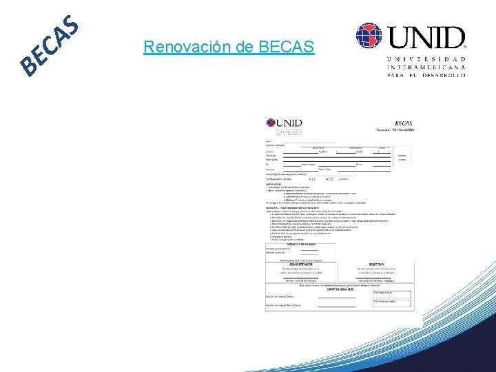 S A C E B Renovación de BECAS 