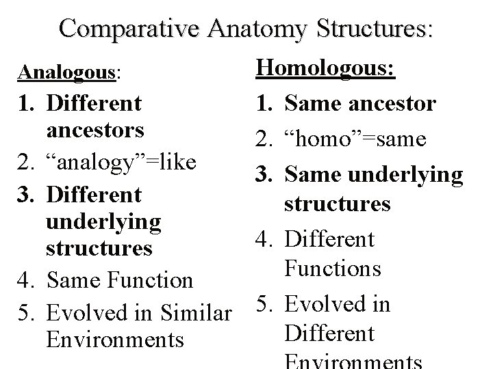 Comparative Anatomy Structures: Homologous: Different 1. Same ancestors 2. “homo”=same “analogy”=like 3. Same underlying