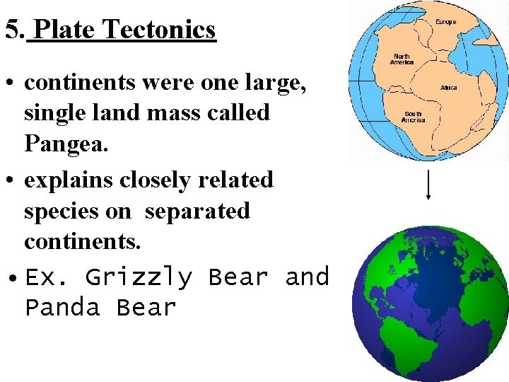 5. Plate Tectonics • continents were one large, single land mass called Pangea. •
