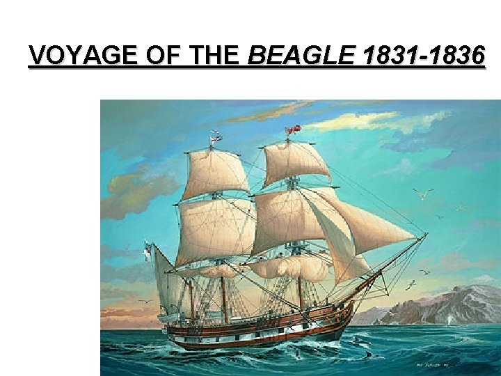 VOYAGE OF THE BEAGLE 1831 -1836 