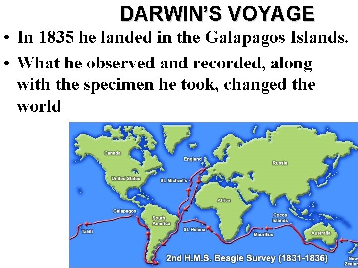 DARWIN’S VOYAGE • In 1835 he landed in the Galapagos Islands. • What he