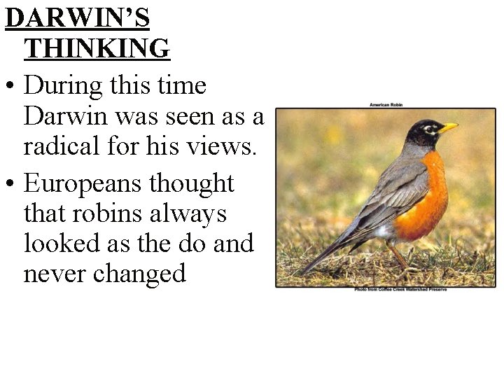 DARWIN’S THINKING • During this time Darwin was seen as a radical for his