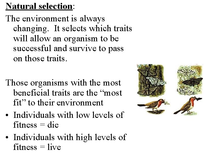 Natural selection: The environment is always changing. It selects which traits will allow an