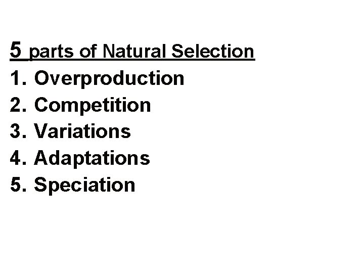 5 parts of Natural Selection 1. 2. 3. 4. 5. Overproduction Competition Variations Adaptations