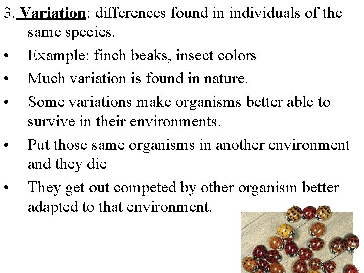 3. Variation: differences found in individuals of the same species. • Example: finch beaks,