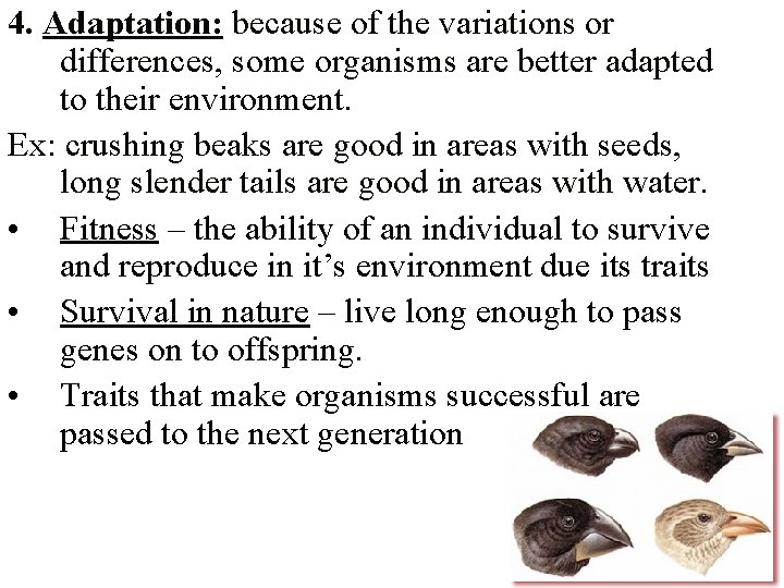 4. Adaptation: because of the variations or differences, some organisms are better adapted to