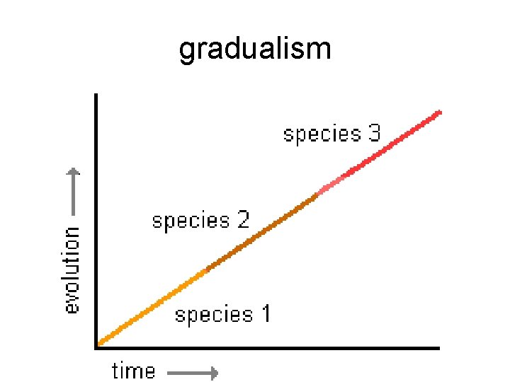 gradualism 