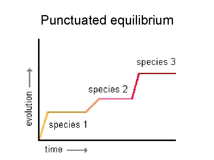 Punctuated equilibrium 