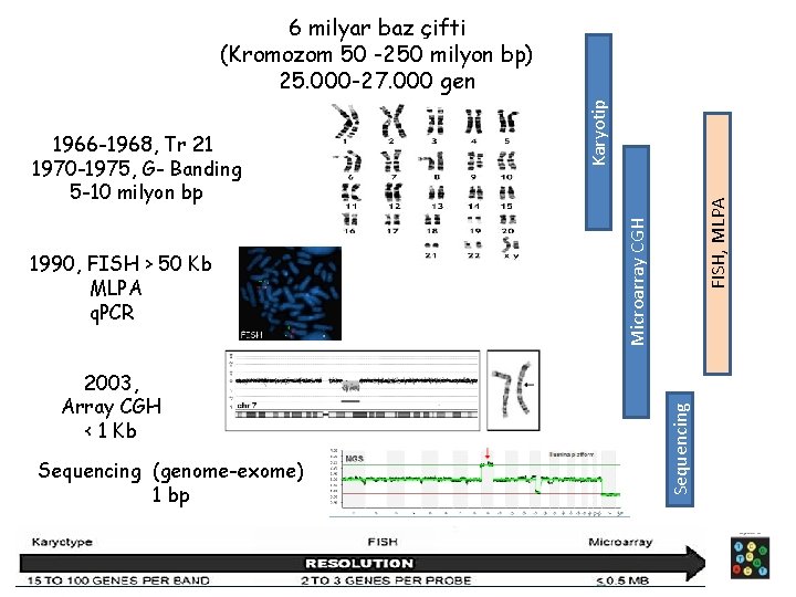2003, Array CGH < 1 Kb Sequencing (genome-exome) 1 bp FISH, MLPA Sequencing 1990,